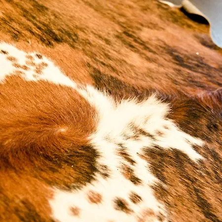 2-Star Griwarent Apartments *