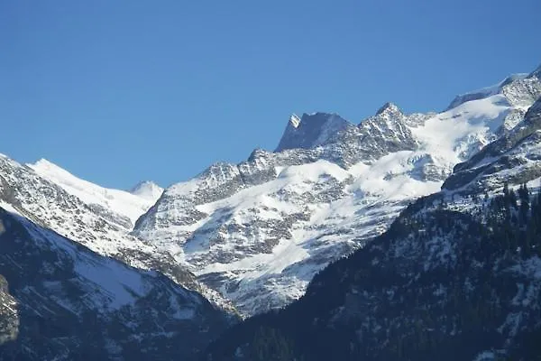 2-star Griwarent * 格林德瓦